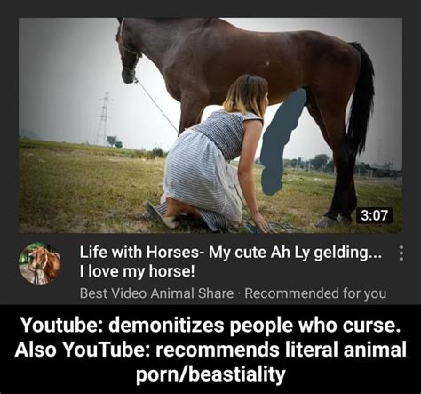 horse beastiality|Horse Zoophilia Porn Videos